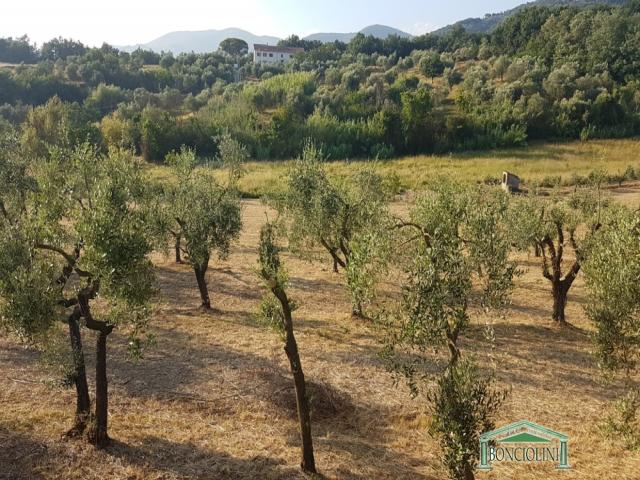 Case - Terratetto con terreno a larciano