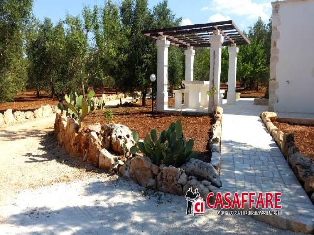 Case - Puglia  -  ceglie massapica - trullo completamente  ristrutturato con uliveto per c.a. 19.000 mq