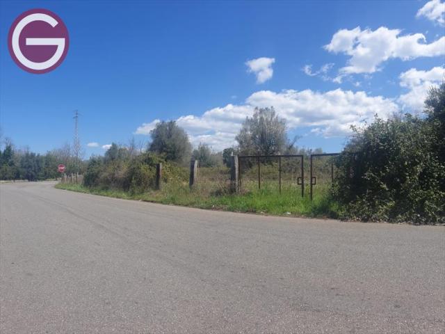 Terreno agricolo in vendita a taurianova centrale