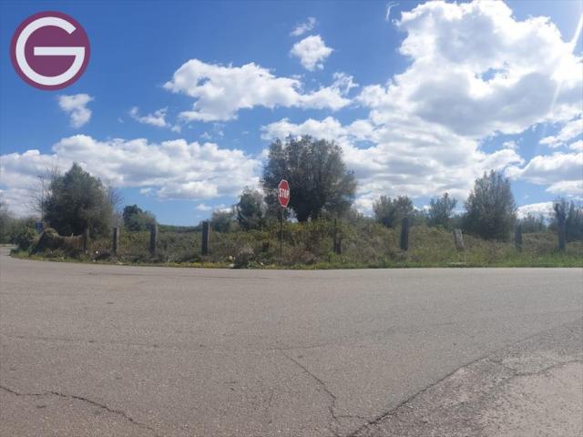 Appartamenti in Vendita - Terreno agricolo in vendita a taurianova centrale