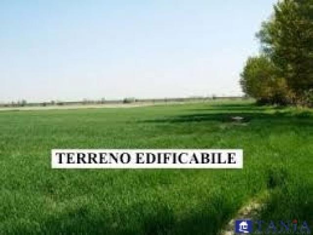 Terreno agricolo bonascola rif 3683