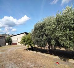 Appartamenti in Vendita - Caponnone con annesso terreno agricolo