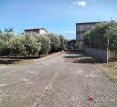Appartamenti in Vendita - Caponnone con annesso terreno agricolo