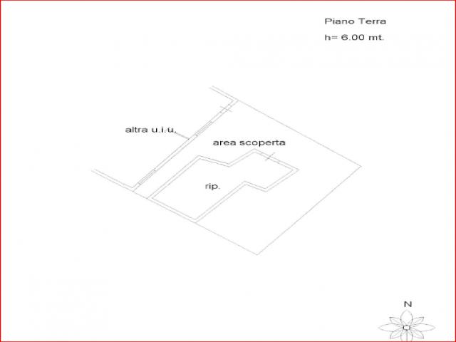 Case - Vendesi casale con terreno altilia (cs)