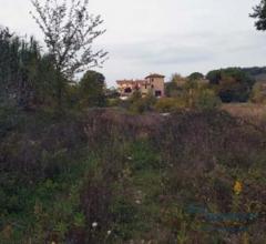 Case - Terreno - monteriggioni