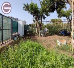 Terreno agricolo in vendita a taurianova zona semicentrale