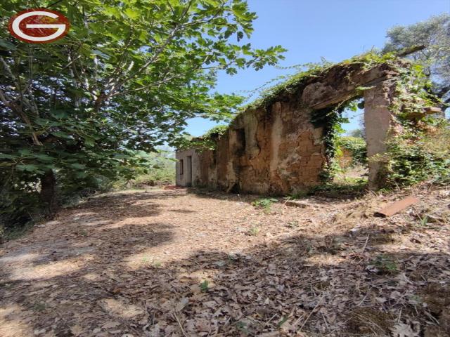 Appartamenti in Vendita - Terreno agricolo in vendita a san giorgio morgeto periferia