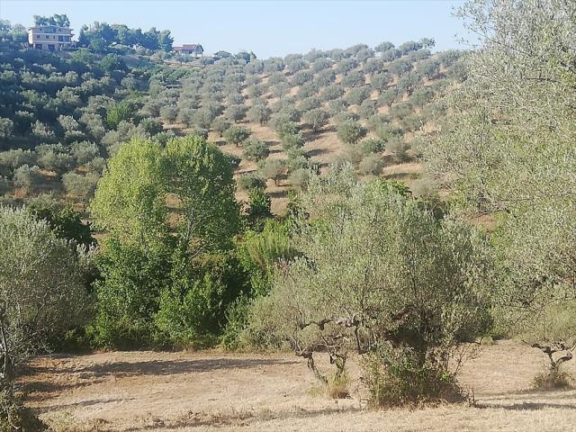 Terreno agricolo in vendita a pianella periferia