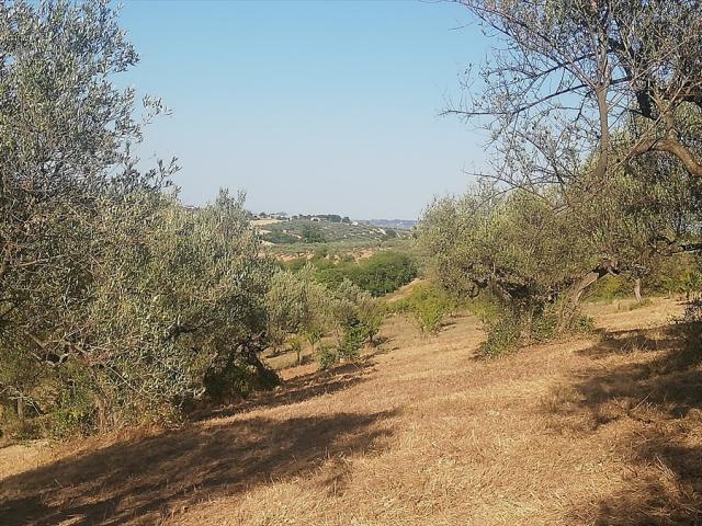 Appartamenti in Vendita - Terreno agricolo in vendita a pianella periferia