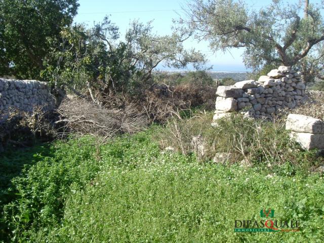 Terreni e caseggiati in contrada san filippo (ragusa ibla)