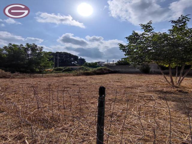 Appartamenti in Vendita - Terreno edificabile in vendita a taurianova san martino