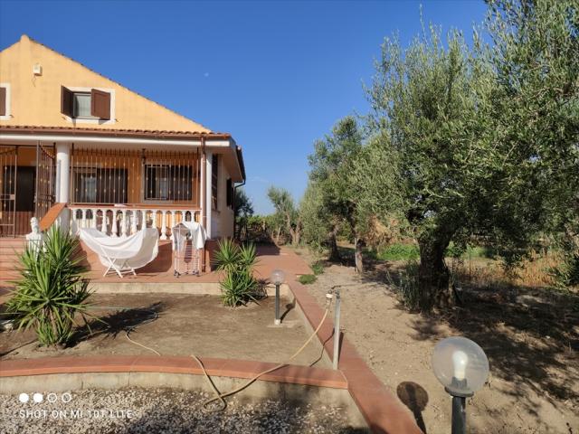 Appartamenti in Vendita - Terreno agricolo in vendita a cerignola san vito