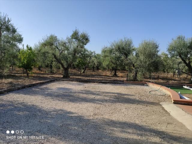 Appartamenti in Vendita - Terreno agricolo in vendita a cerignola san vito