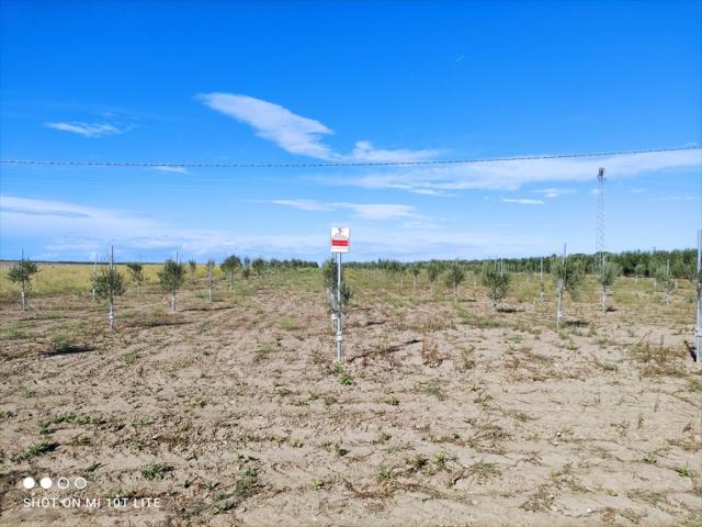 Appartamenti in Vendita - Terreno agricolo in vendita a cerignola via melfi