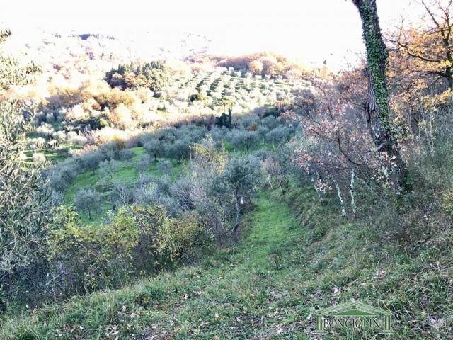 Case - Unita' crollata con terreno a monsummano terme