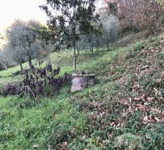 Case - Unita' crollata con terreno a monsummano terme