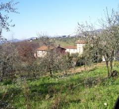 Case - Azienda agricola e vitivinicola - colline di lucca