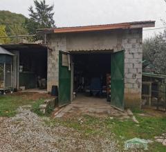 Terreno agricolo con rimessa a monsummano terme