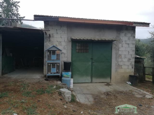 Appartamenti in Vendita - Terreno agricolo con rimessa a monsummano terme