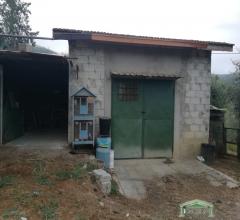 Appartamenti in Vendita - Terreno agricolo con rimessa a monsummano terme