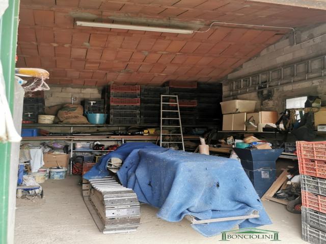 Appartamenti in Vendita - Terreno agricolo con rimessa a monsummano terme