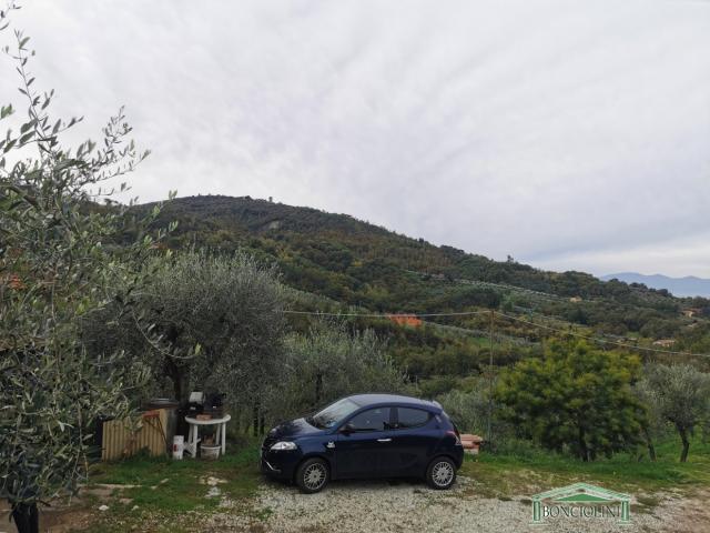 Appartamenti in Vendita - Terreno agricolo con rimessa a monsummano terme