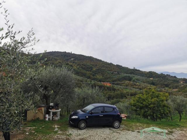 Case - Terreno agricolo con rimessa a monsummano terme