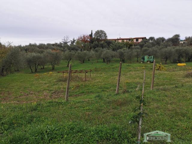 Case - Terreno agricolo con rimessa a monsummano terme