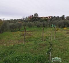 Appartamenti in Vendita - Terreno agricolo con rimessa a monsummano terme