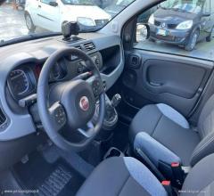 Auto - Fiat panda 1.0 firefly s&s hybrid city life