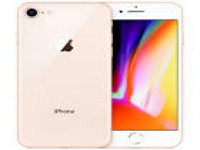 Telefonia - accessori - Beltel - apple iphone 8 64gb