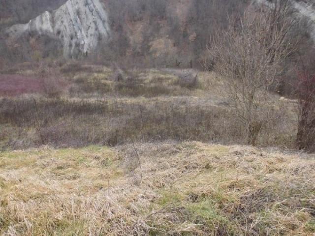 Case - Rustico in sassi da ristrutturare con terreno di 10 ettari collinari