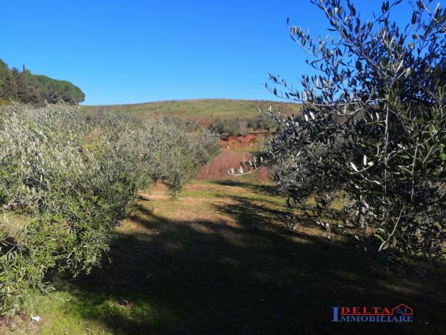 Case - Vendesi villetta singola in eccellente posizione