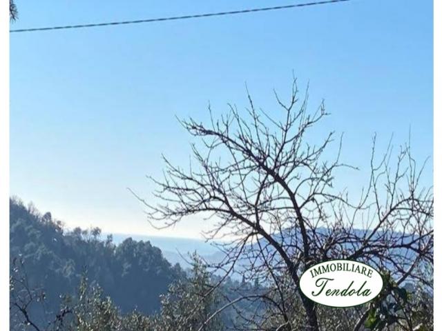 Case - Rustico in collina sarzana