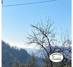 Case - Rustico in collina sarzana