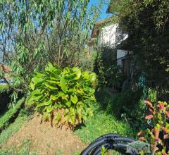 Case - Villetta con giardino a monsummano terme